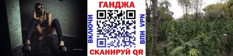 Купить наркотики цена Шенкурск Cocaine  Меф мяу мяу  ссылка на мегу ссылки  Канабис  Гашиш  АМФ 