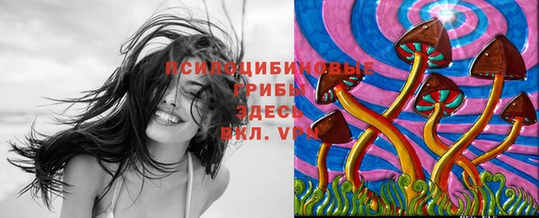 таблы Семёнов