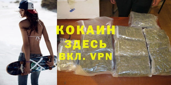 сатива Семилуки