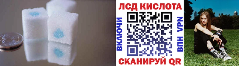 цена наркотик  Шенкурск  ЛСД экстази кислота 