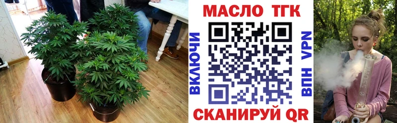 как найти закладки  Шенкурск  дарк нет какой сайт  Дистиллят ТГК гашишное масло 